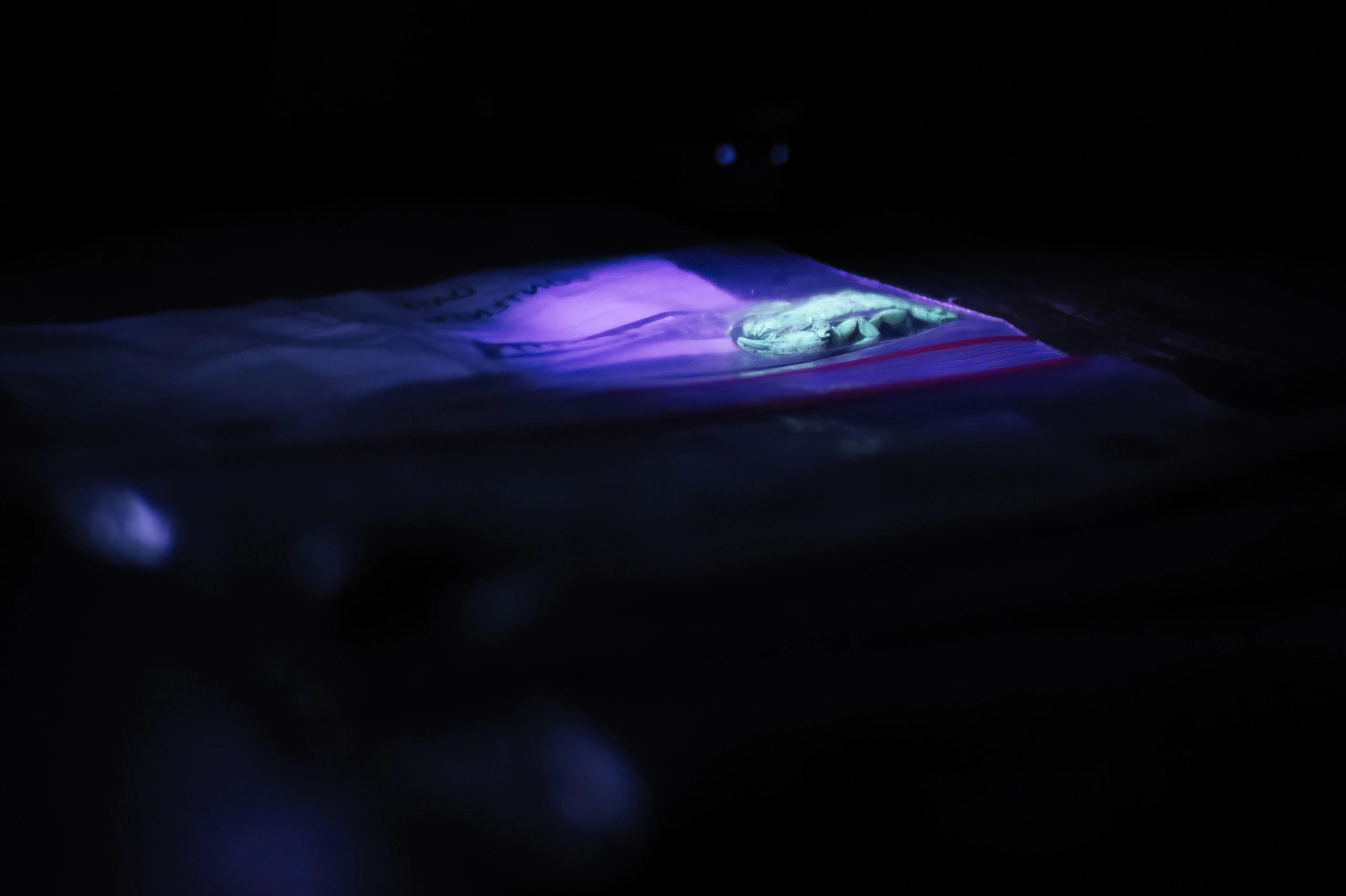 Fluorescent subject under UV light representing visibility under ultraviolet inspection